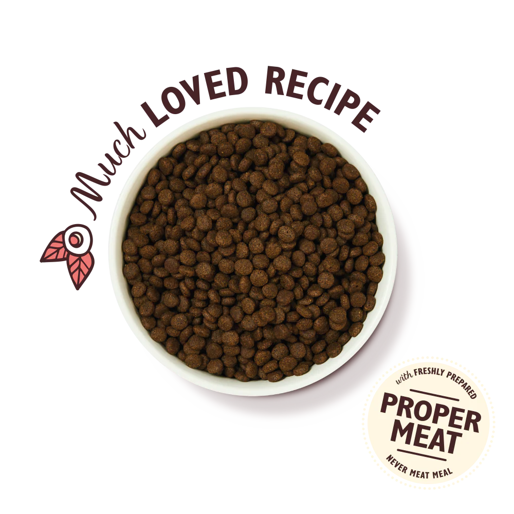 Chicken & Salmon Dry Food for Puppies (2 x 7kg) - Image 3