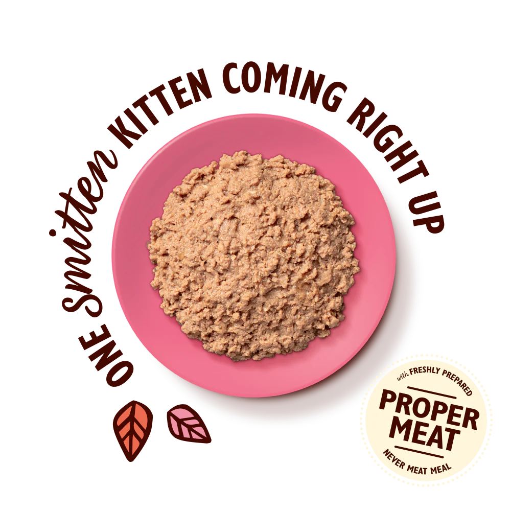 Chicken Paté for Kittens (19 x 85g) - Image 3