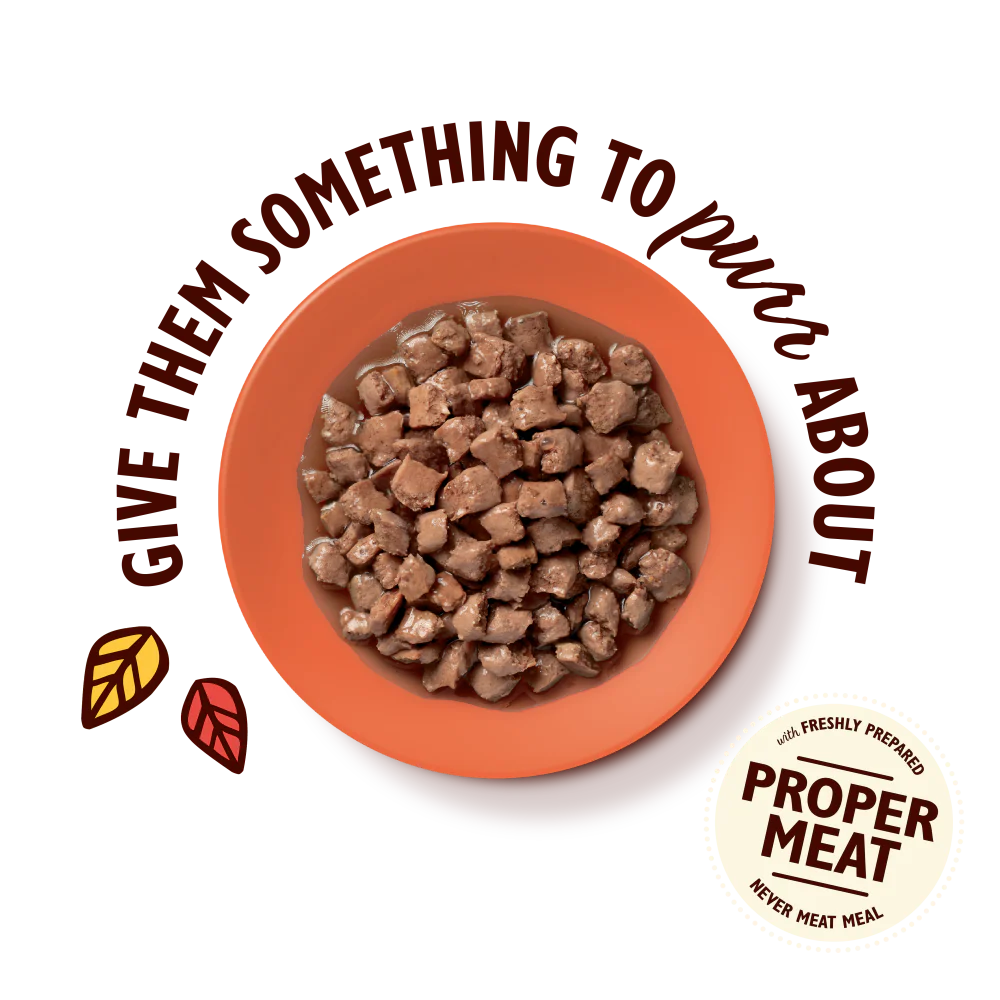 Chicken Tasty Cuts in Gravy (85g) - Image 3