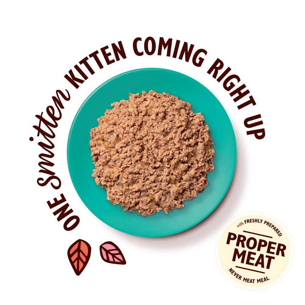 Chicken with Cod Paté for Kittens (19 x 85g) - Image 3