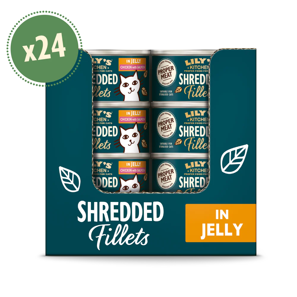 Chicken with Salmon Shredded Fillets in Jelly (24 x 70g)