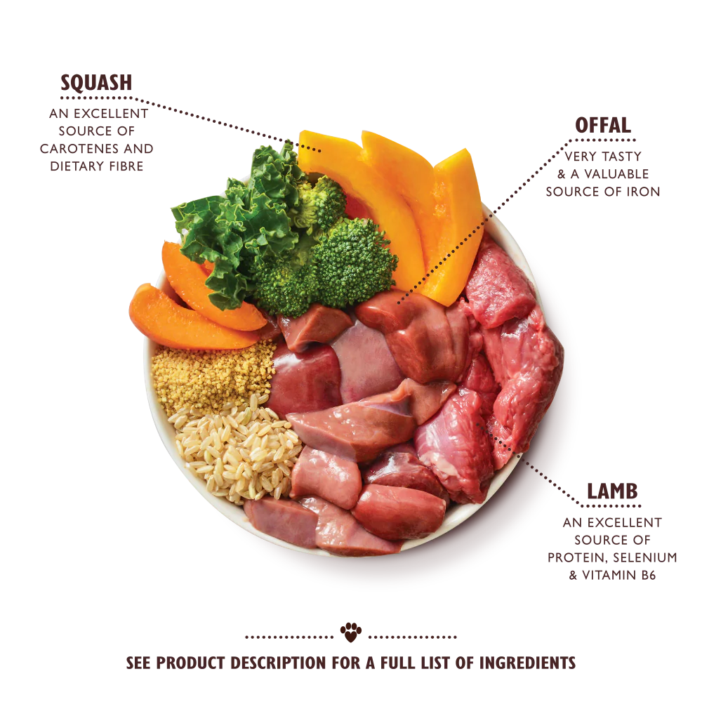 Lamb Tagine (150g) - Image 2