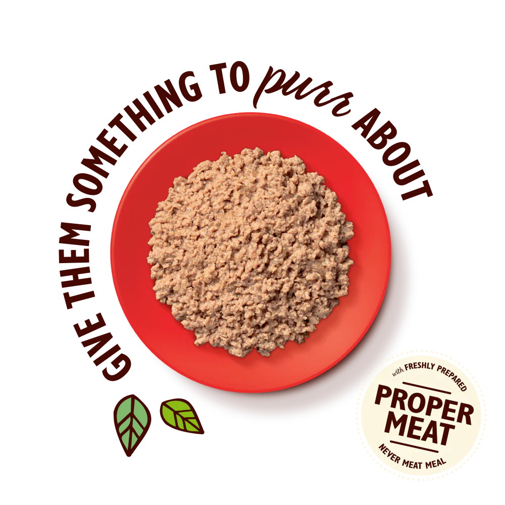 Organic Beef Paté (19 x 85g) - Image 3