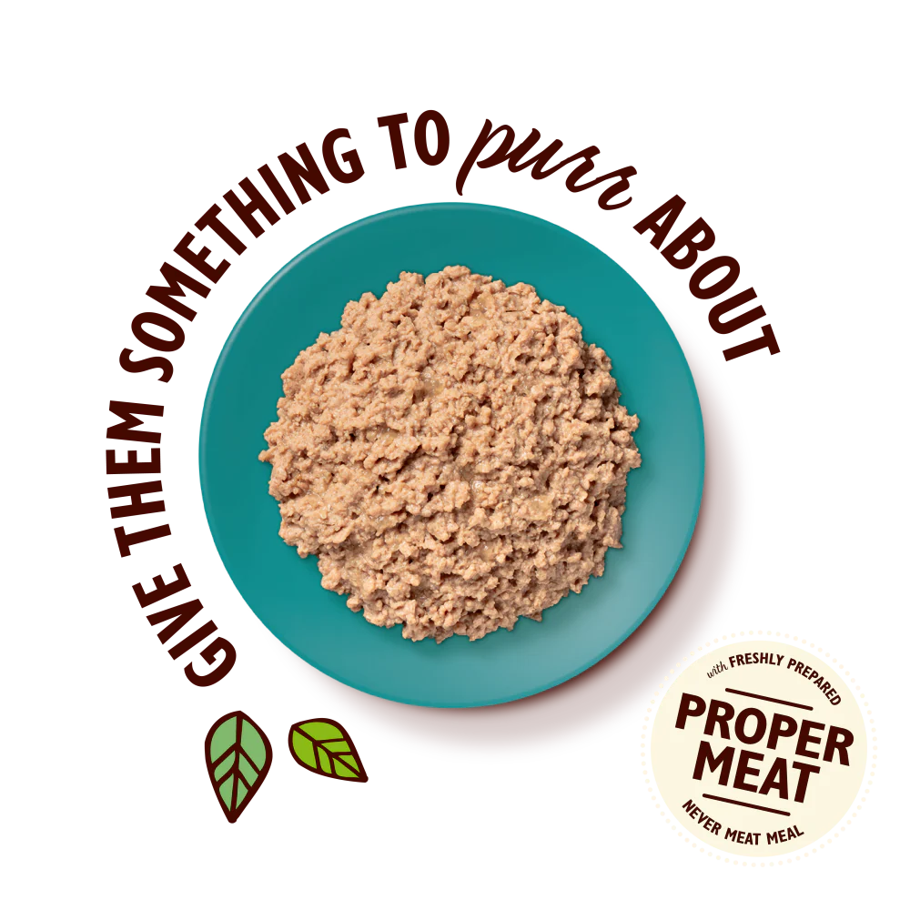 Organic Chicken with Fish Paté (85g) - Image 3