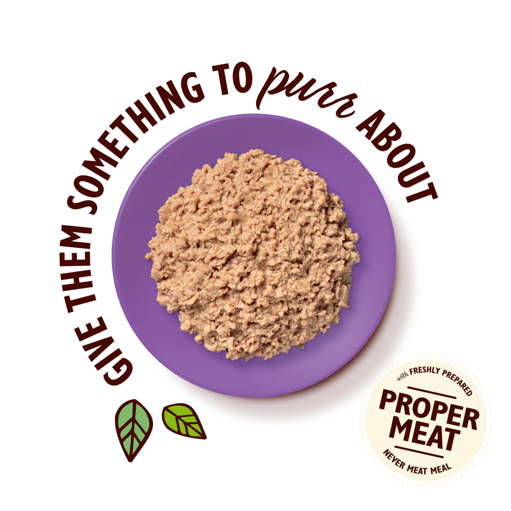 Organic Turkey Paté (85g) - Image 3