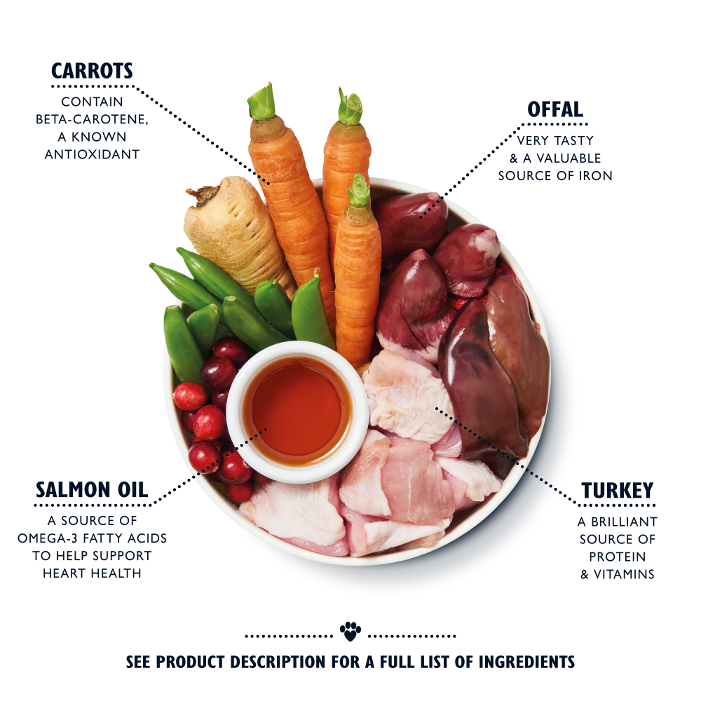 Senior Recipe for Older Dogs (6 x 400g) - Image 2