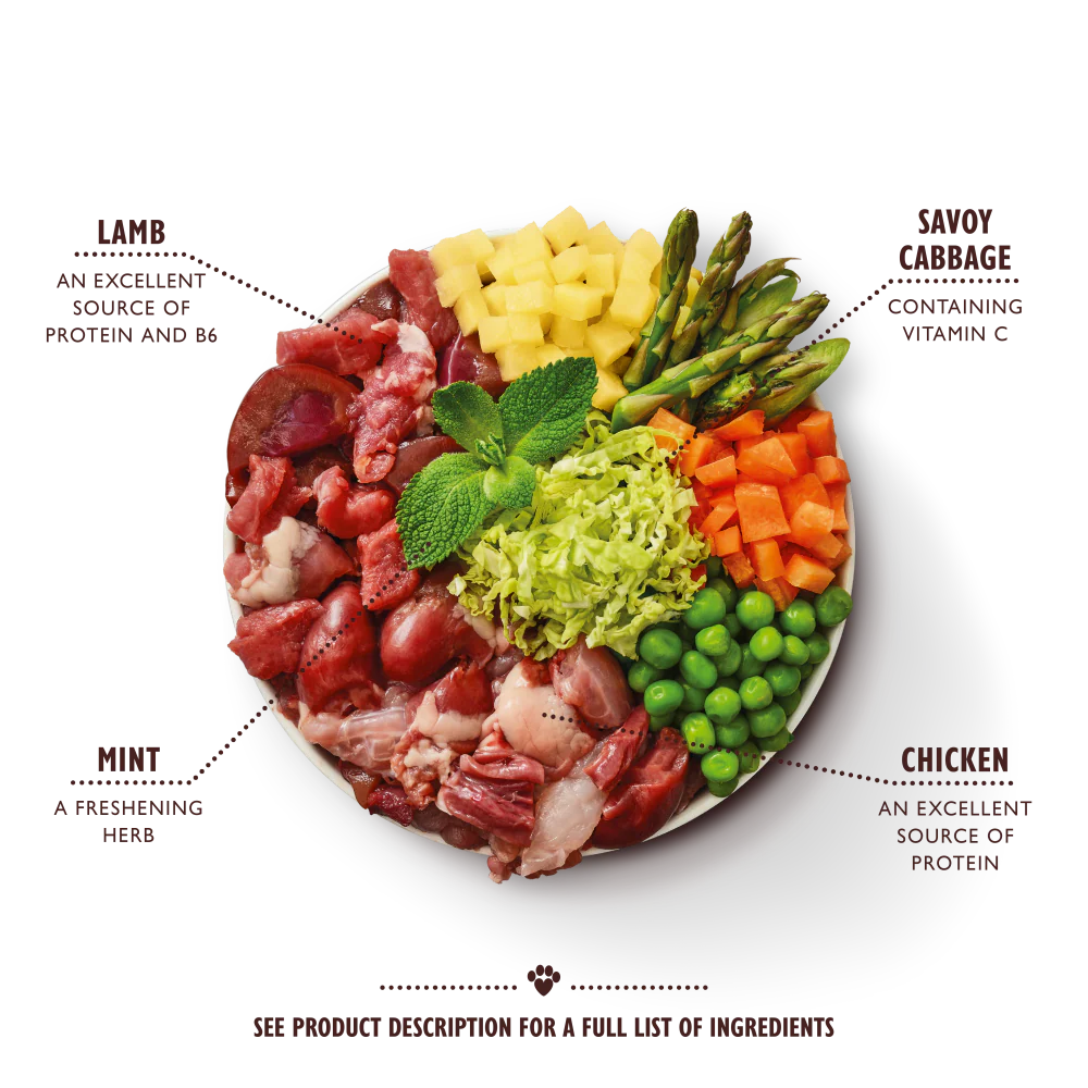 Springtime Stew (150g) - Image 2