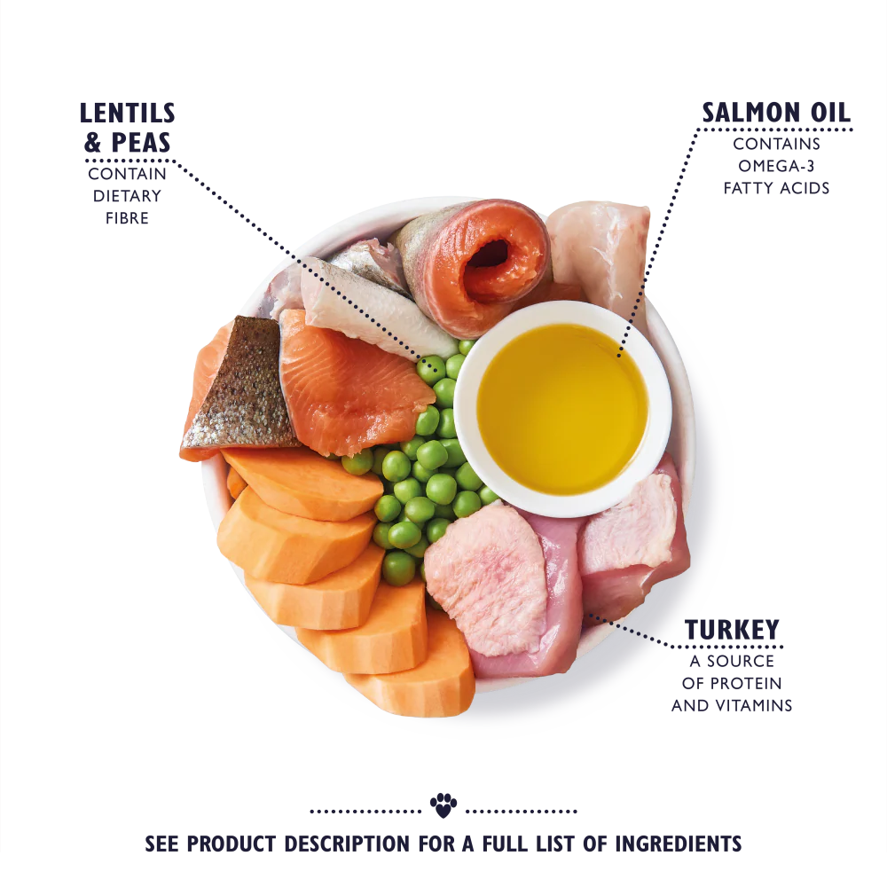 Turkey & Trout Dry Food for Senior Dogs (2 x 7kg) - Image 2