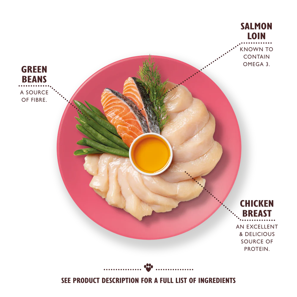 Ultimate Chicken Stew with Salmon & Green Beans (85g) - Image 2