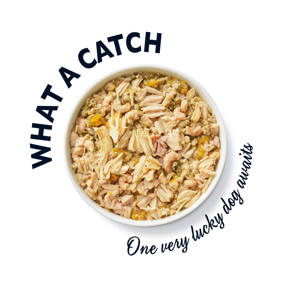 The Ultimate Chicken with Salmon Supper (150g) - Image 4
