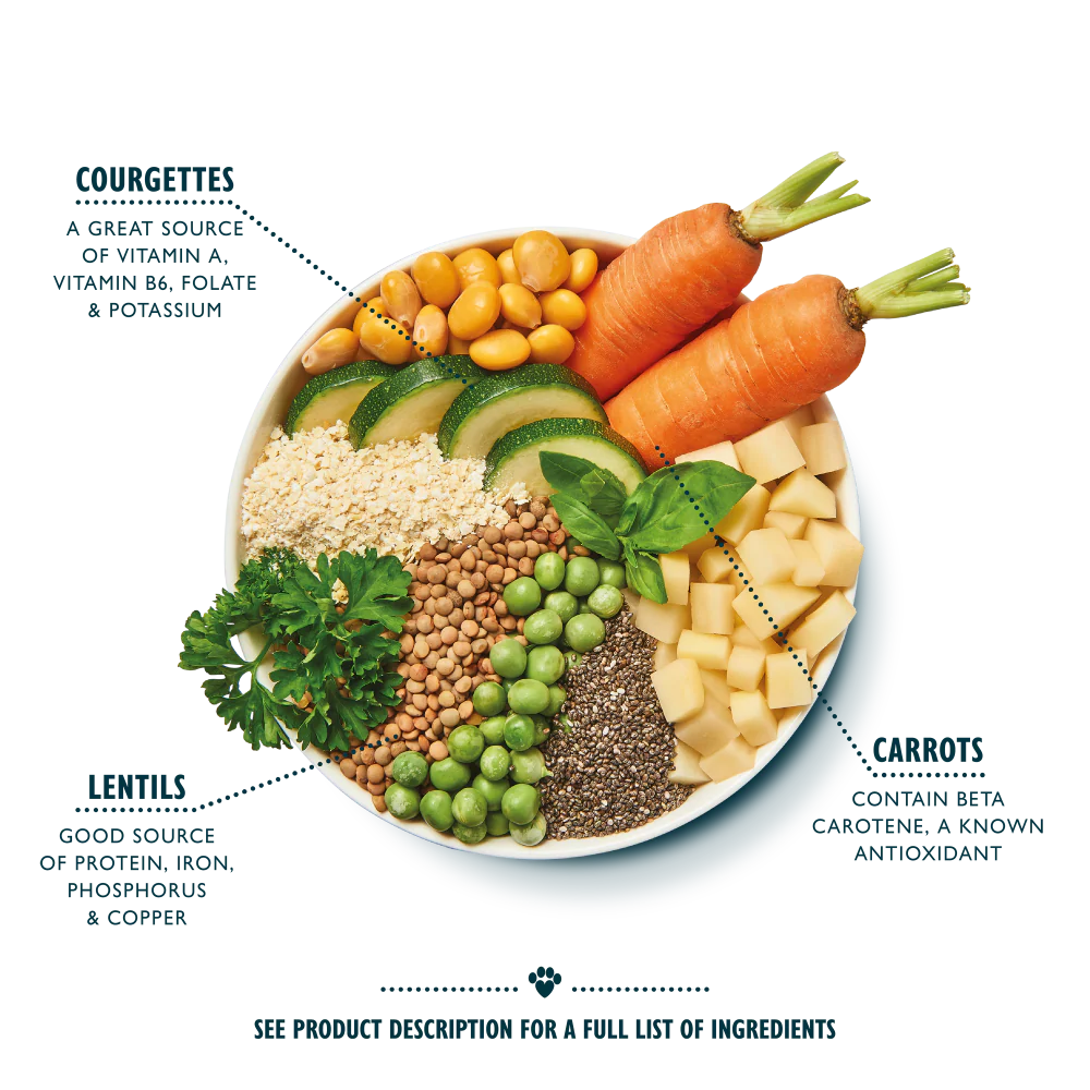 Vibrant Rainbow Stew Vegan Recipe (400g) - Image 2