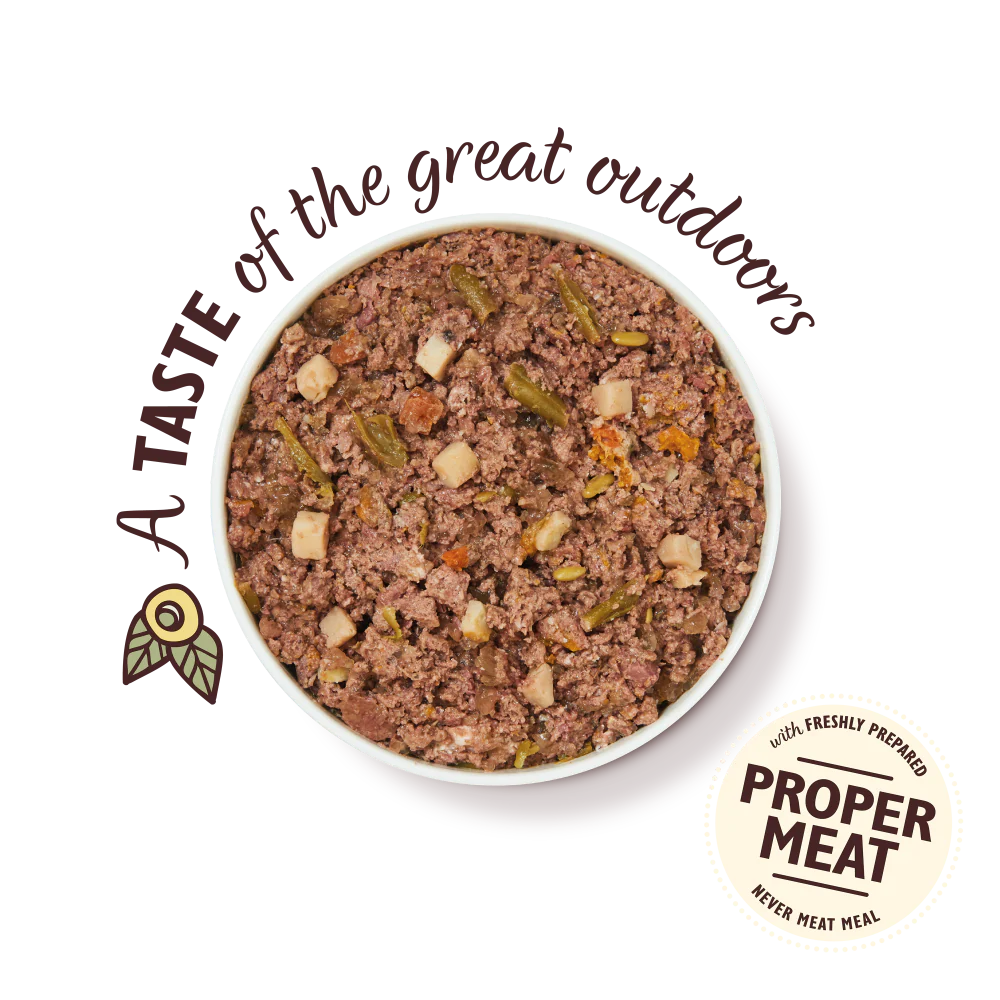 Wild Campfire Stew (400g) - Image 3